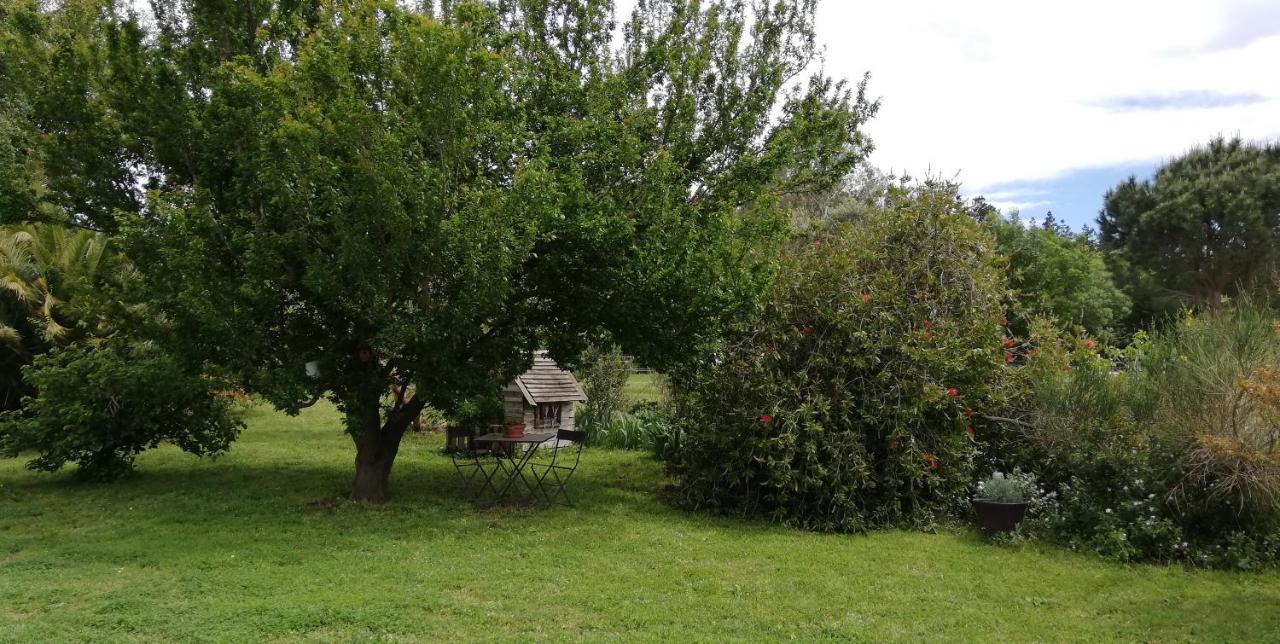 منزل الضيف Le Soler  في Roulotte En Bois Sud France المظهر الخارجي الصورة