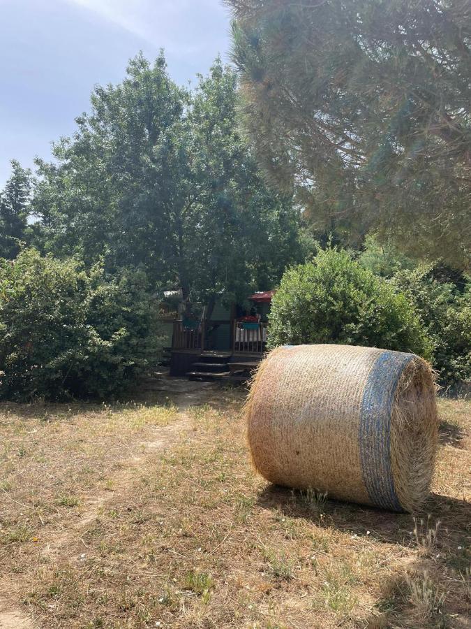منزل الضيف Le Soler  في Roulotte En Bois Sud France المظهر الخارجي الصورة