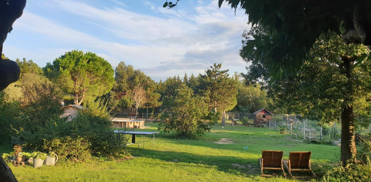 منزل الضيف Le Soler  في Roulotte En Bois Sud France المظهر الخارجي الصورة